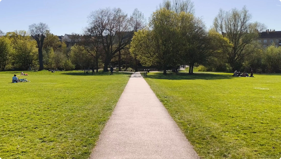 a path in a park with trees and grass