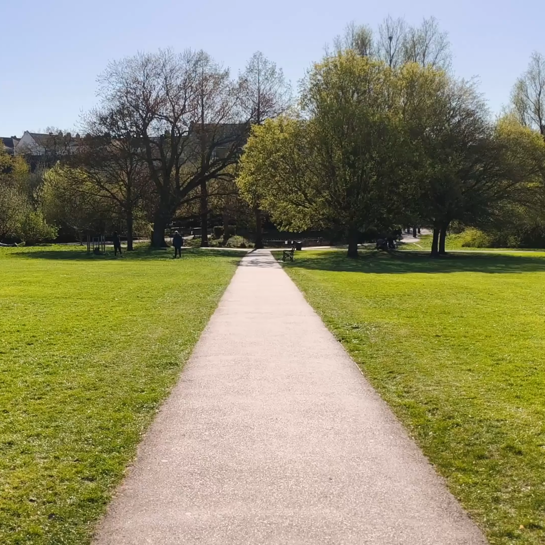 a path in a park